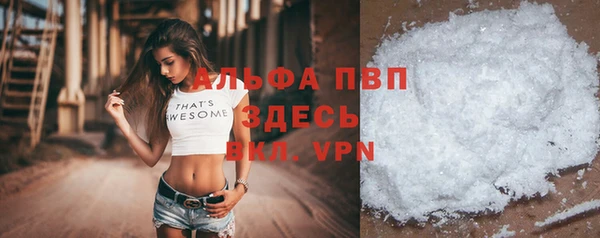 сатива Верхний Тагил