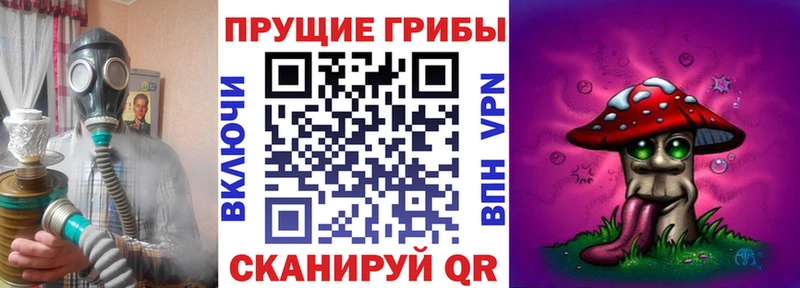 как найти закладки Рузаевка Галлюциногенные грибы MAGIC MUSHROOMS